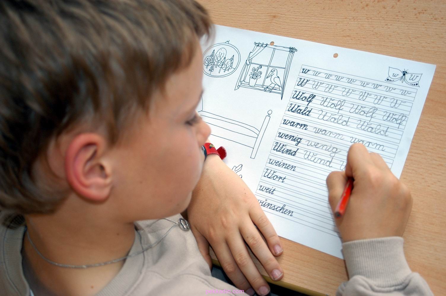 Özel Öğrenme Güçlüğü Destek Eğitim Programı